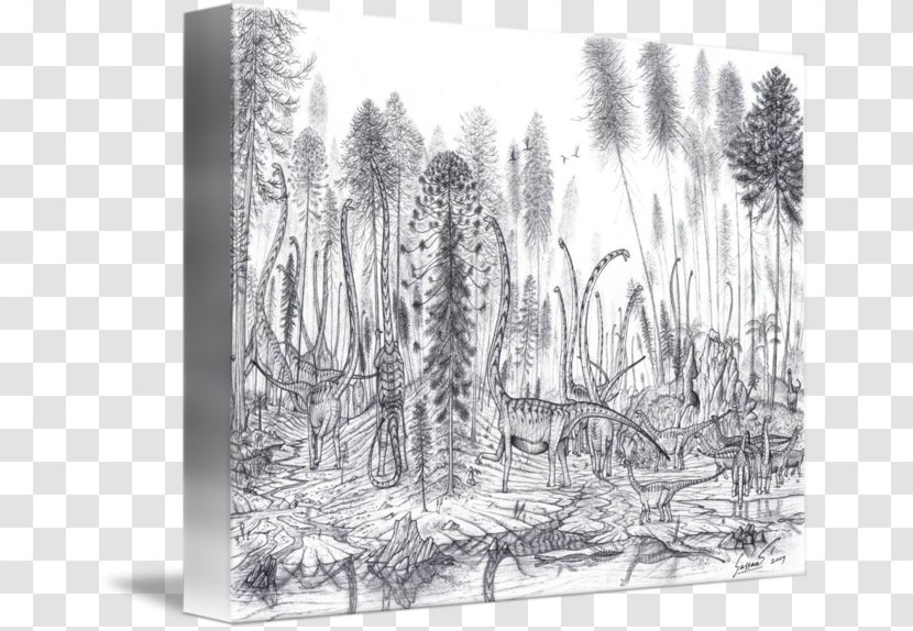 Visual Arts Photography Pine Sketch - Black And White - Quarry Transparent PNG