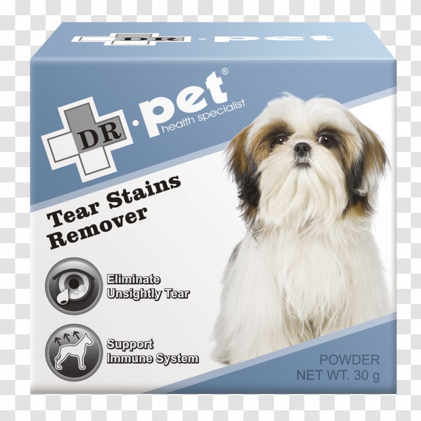 Shih Tzu Dog Breed Companion Pet Toy - Doctor Transparent PNG