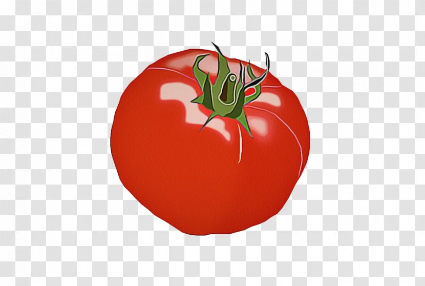 Tomato - Food - Plum Nightshade Family Transparent PNG