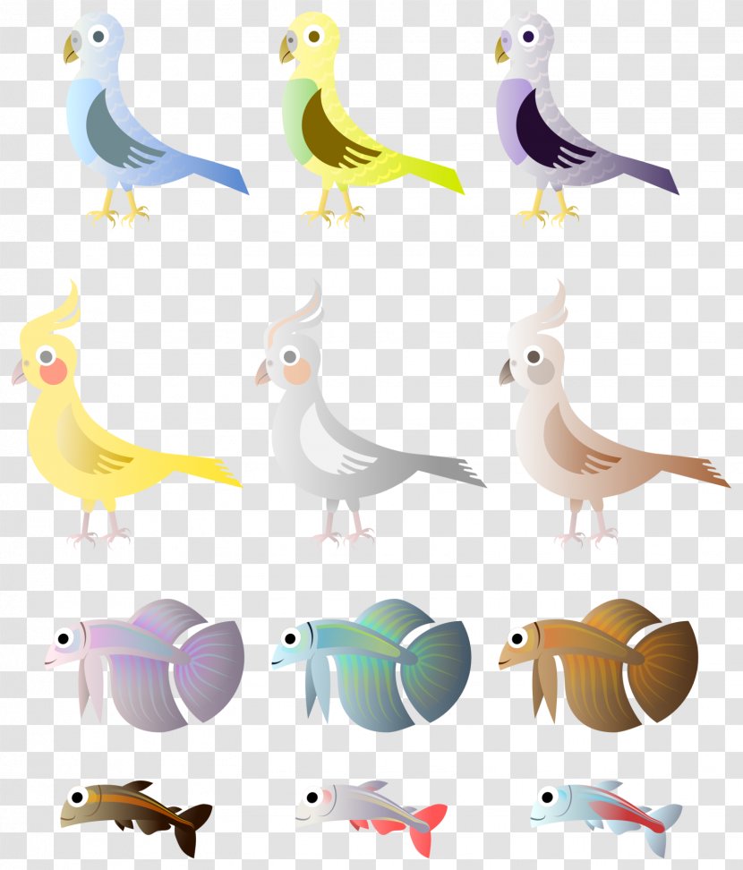 Bird Drawing Parrot Clip Art - Beak - Simple Transparent PNG