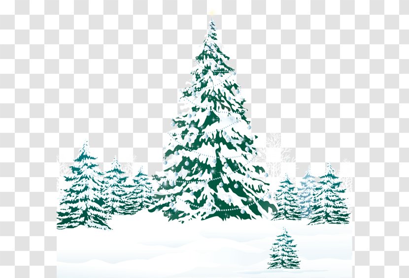 Christmas Black And White - Canadian Fir - Eastern Hemlock Jack Pine Transparent PNG