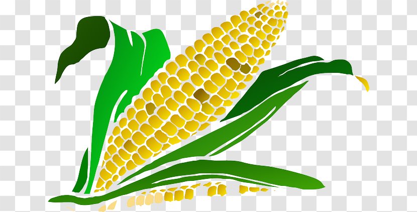 Maize Drawing Clip Art - Ear Transparent PNG