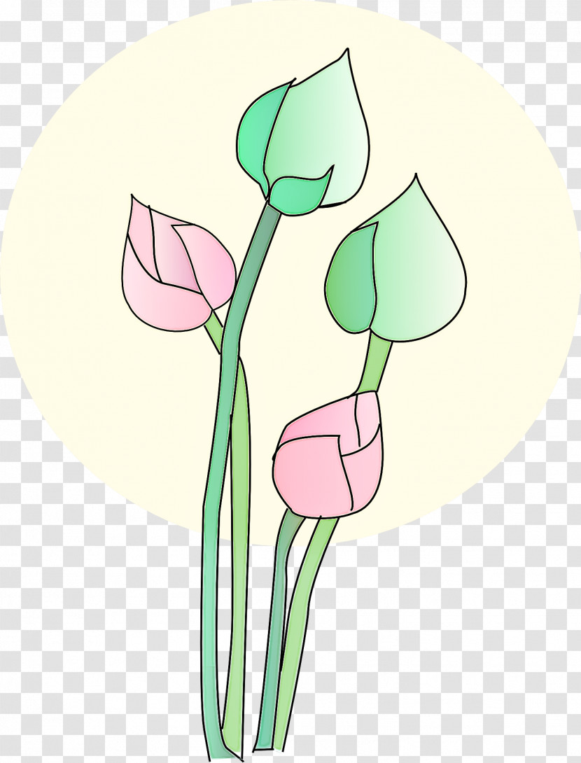 Floral Design Transparent PNG