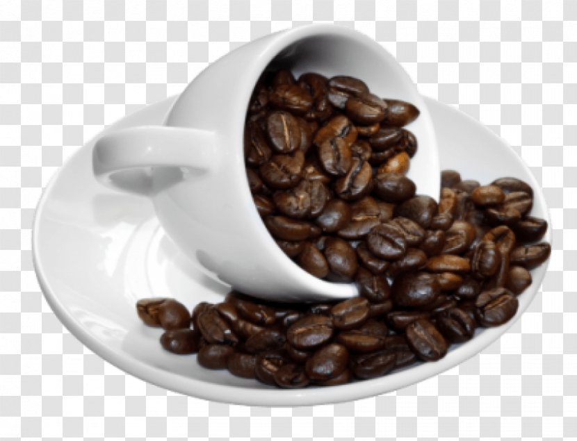 Coffee Cup Oliang White Bean - Beverages Transparent PNG