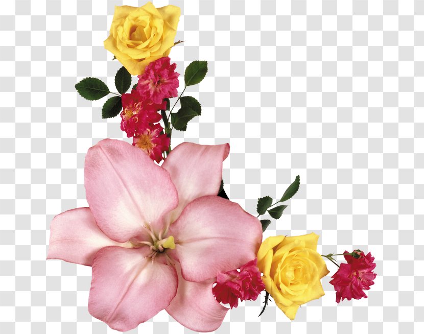 Flower Clip Art Garden Roses Adobe Photoshop - Rose Family Transparent PNG