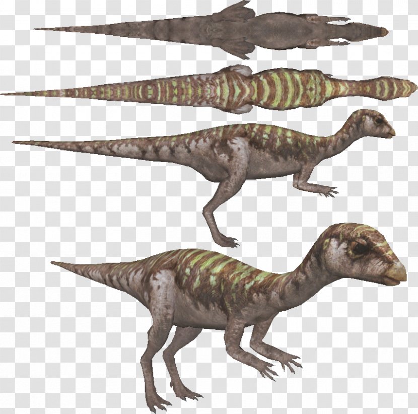 Velociraptor Tyrannosaurus Terrestrial Animal - Dinosaur Transparent PNG