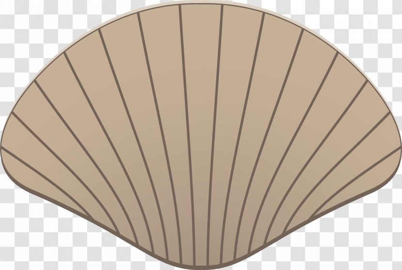 Seashell Drawing Clip Art - Wood - Scallop In Shell Transparent PNG