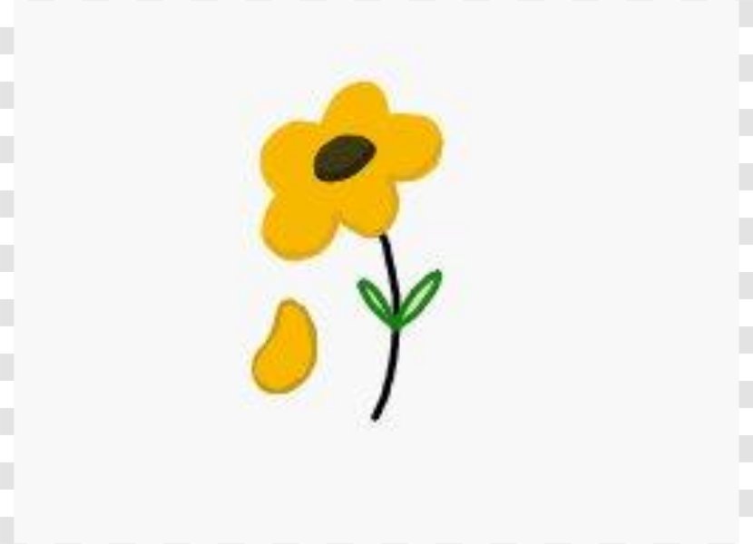 Yellow Common Sunflower Daisy Clip Art - Royaltyfree - Pictures Transparent PNG