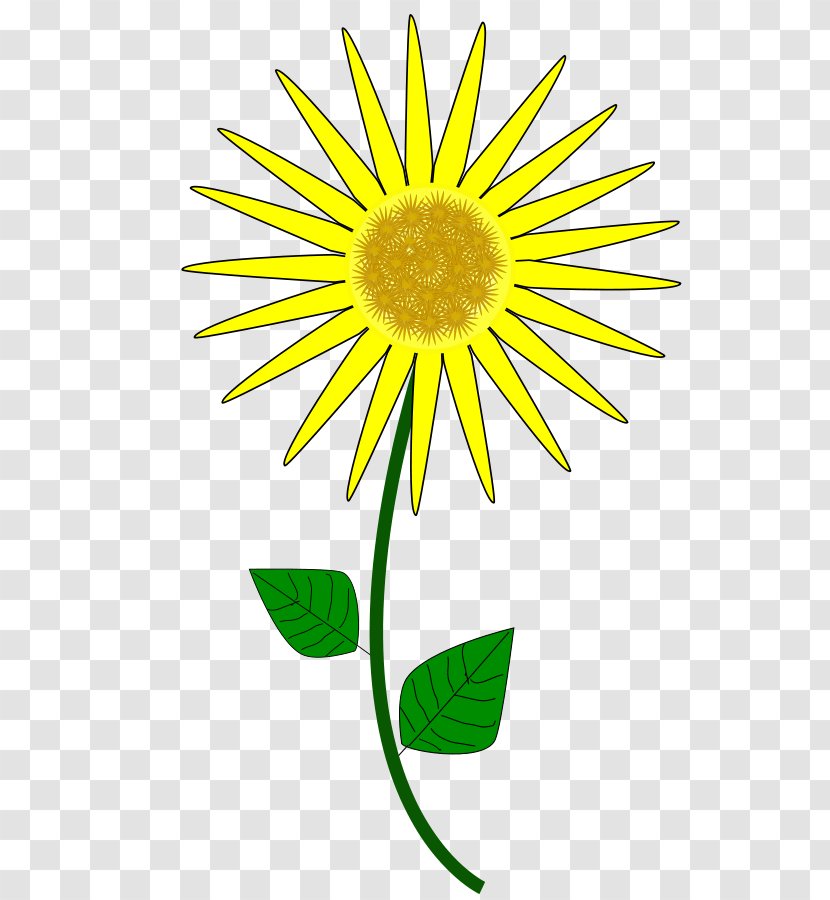 Animation Common Sunflower Cartoon Clip Art Seed Bunga Transparent Png