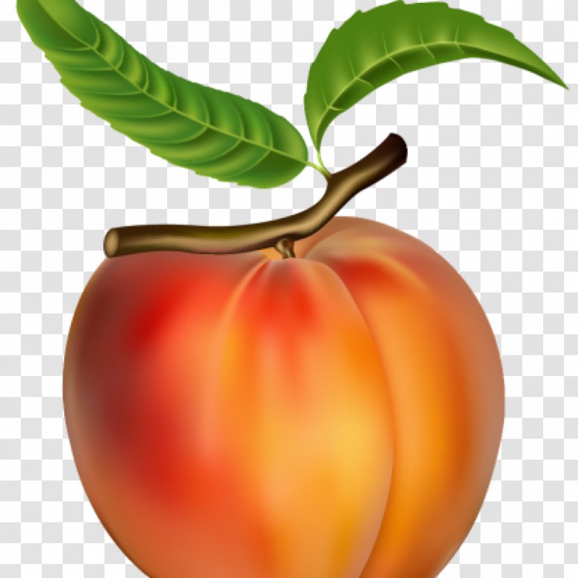 Clip Art Vector Graphics Peach Fruit - Apple - Healthy Food Heart Transparent PNG