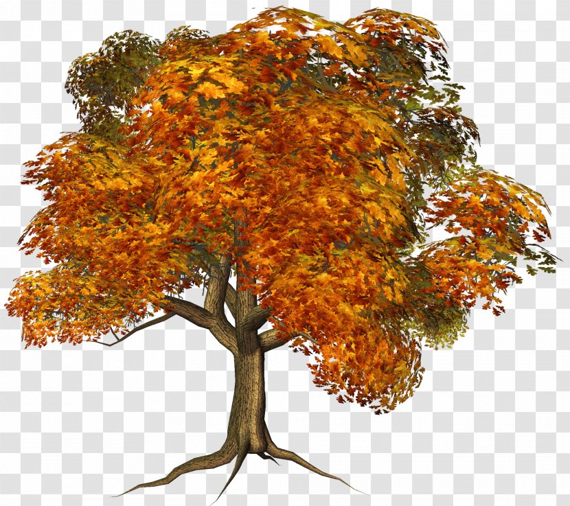 Tree Autumn Clip Art - Maple - Large Fall Clipart Transparent PNG