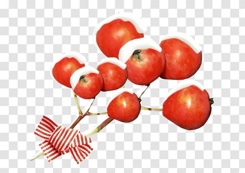 Barbados Cherry Accessory Fruit Rose Hip Food Pomegranate - Malpighia - Snowflake Elements Transparent PNG