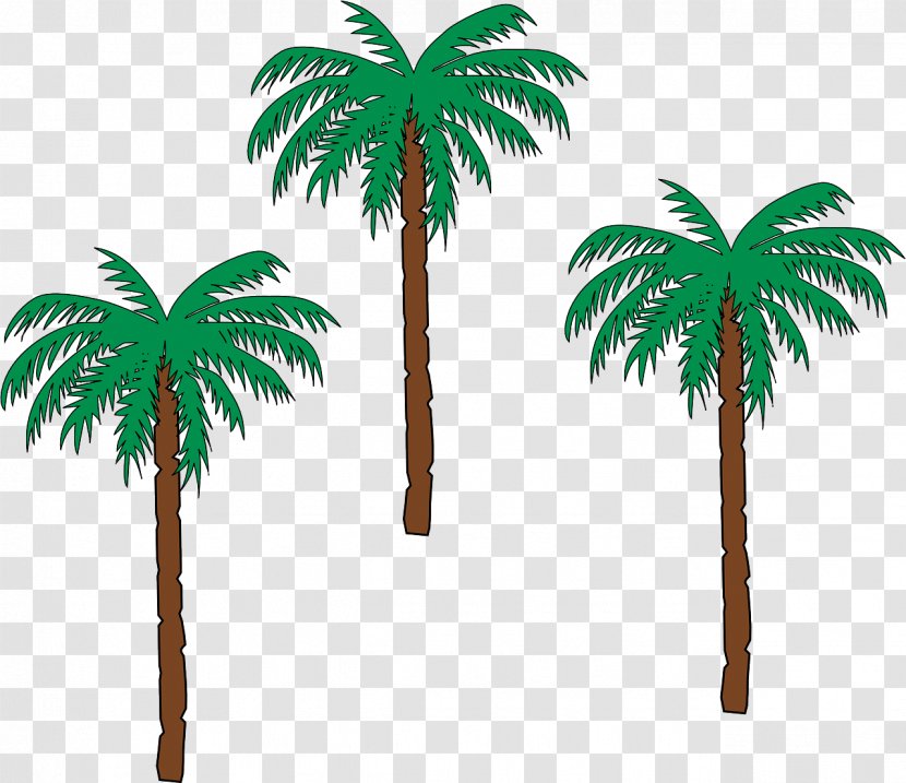 La Palma Del Condado Arecaceae Tree Date Palm - Woody Plant Transparent PNG