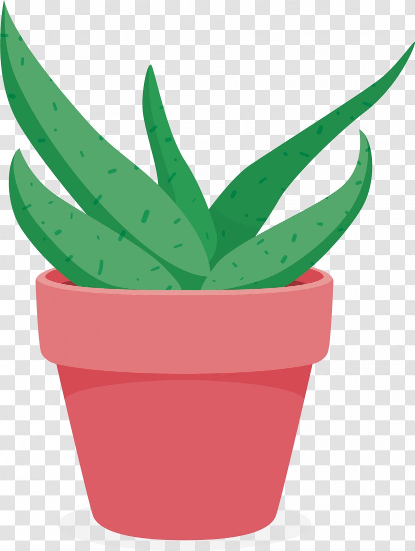 Aloe Flowerpot Plant - The Pot Of Aloe. Transparent PNG