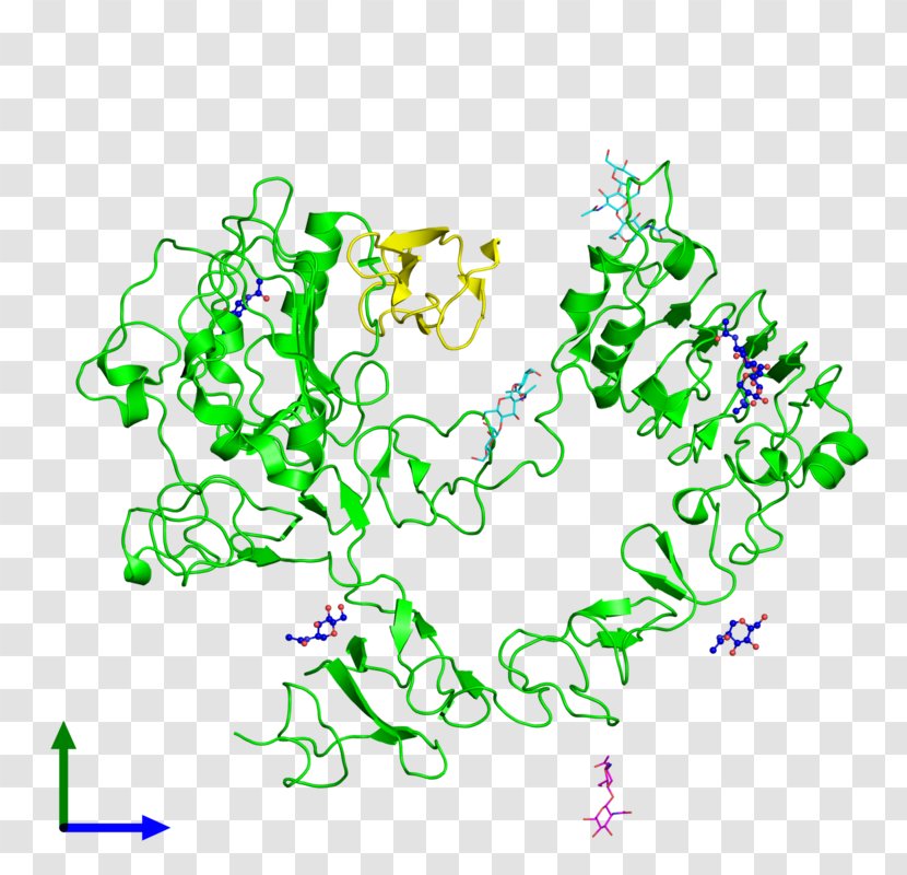 Epidermal Growth Factor Receptor Molecule ErbB - Clip Art - Molecules Hd Transparent PNG