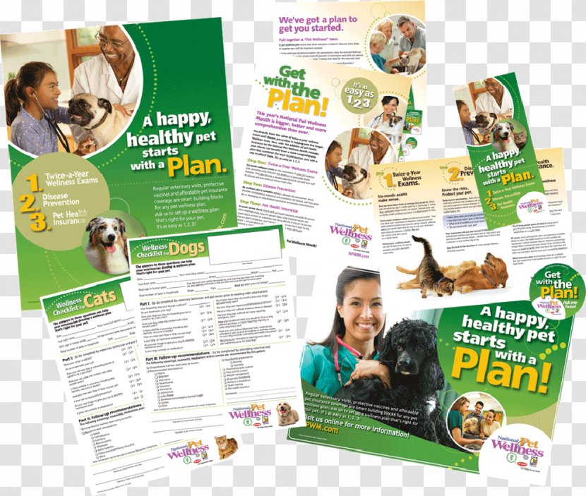 Flyer Brochure - Pet Billboards Transparent PNG