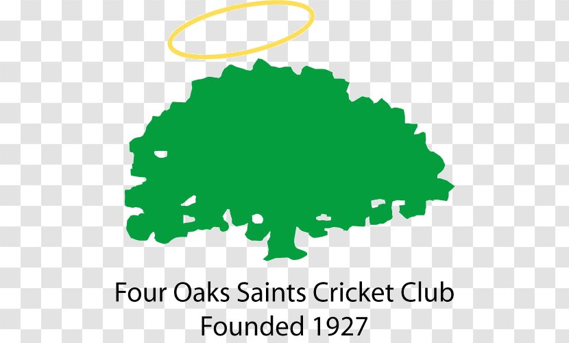 Four Oaks, Birmingham Oaks Saints Cricket Club Jersey Team - Hockey - Playing Transparent PNG