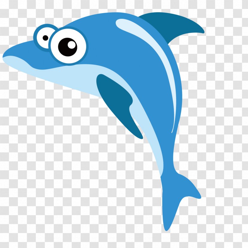 Shark Blue Whale Euclidean Vector - Tucuxi Transparent PNG