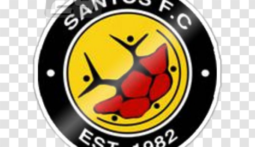 Santos F.C. SAFA Second Division National First Chief Cape Town - Football Team - Fc Transparent PNG