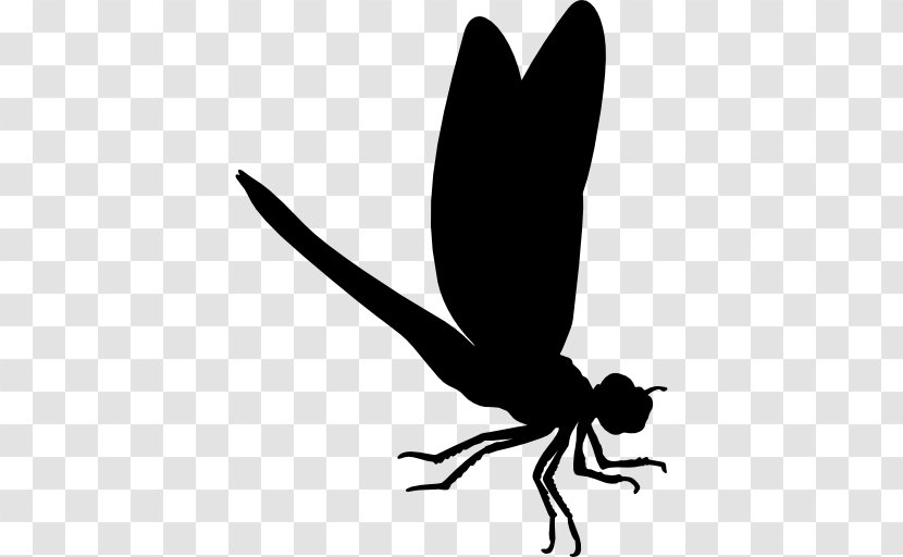 Dragon Fly - Black And White - Membrane Winged Insect Transparent PNG