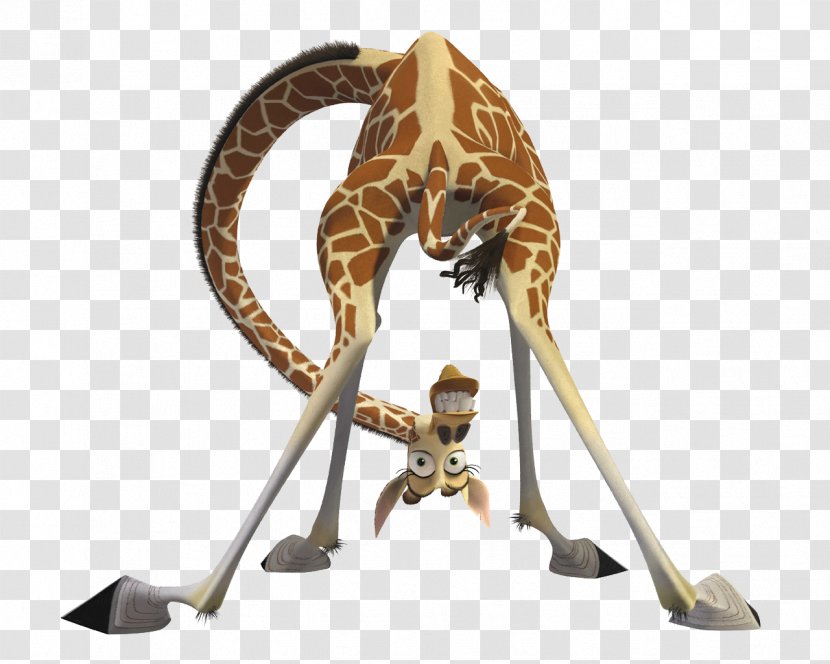 Melman Alex Gloria Madagascar Kowalski - Mammal - 3d Giraffe Transparent PNG