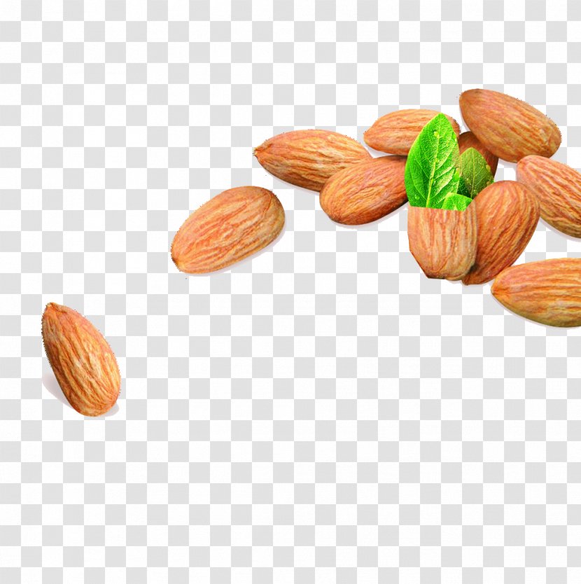 Macaroon Nut Apricot Kernel Almond Biscuit Vegetarian Cuisine - Nuts Picture Download Transparent PNG
