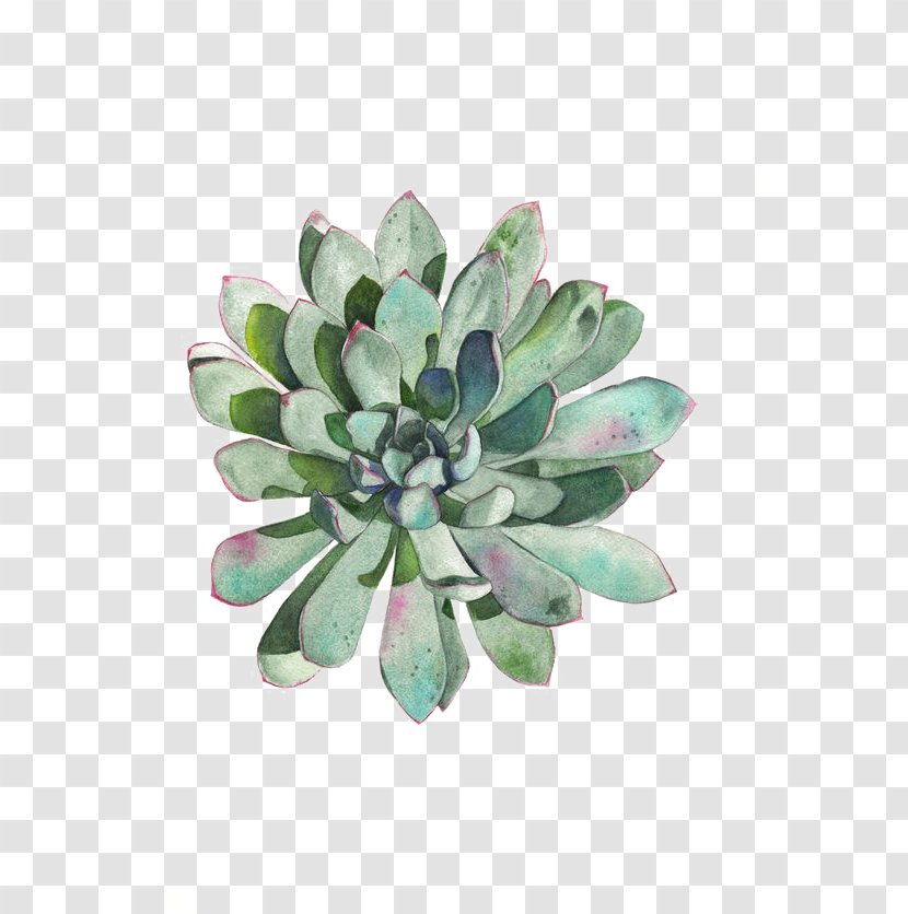 Paper Succulent Plant Watercolor Painting Printmaking Drawing - Plants Transparent PNG