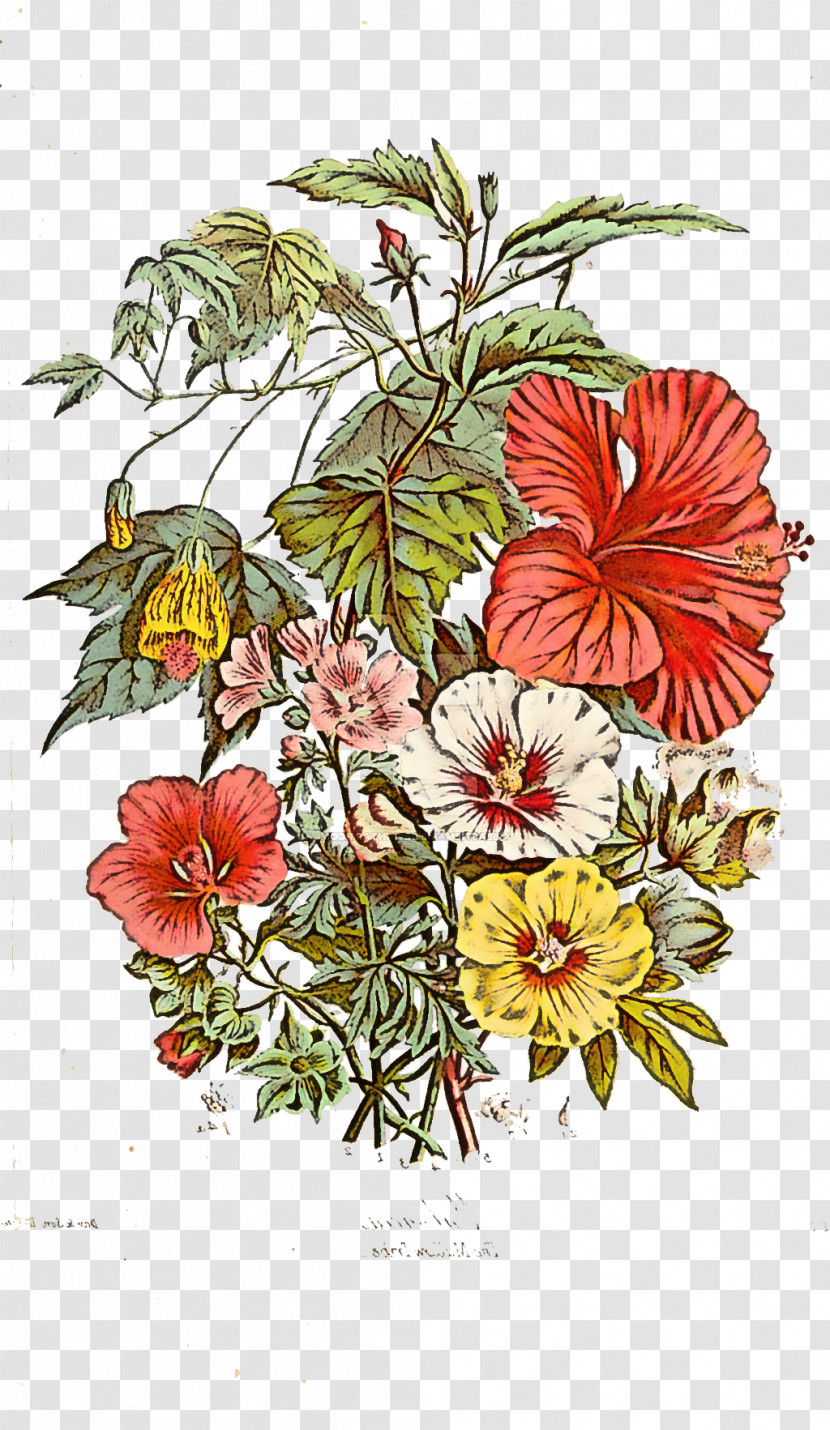 Floral Design Transparent PNG