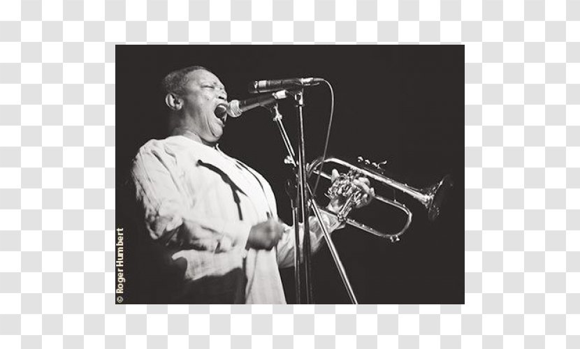 Trumpeter Both Sides Now Jazz Lyrics - Flower - Seventy-one Founding Festival Transparent PNG
