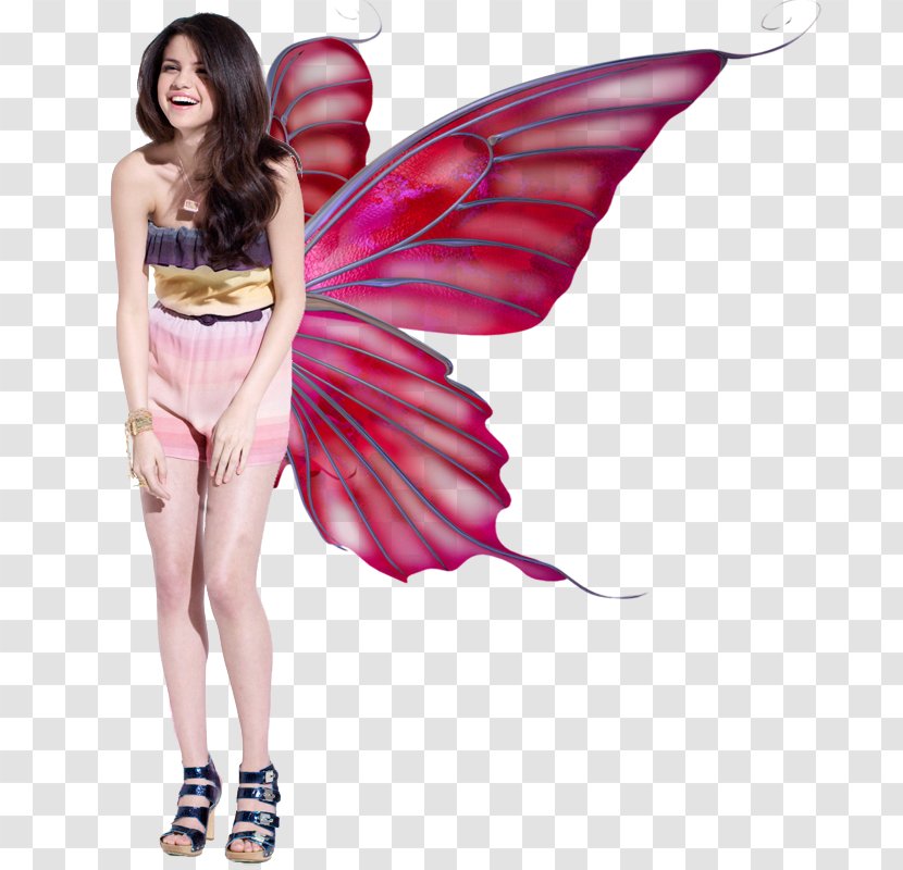 Photography Color Clip Art - Heart - Butterfly Wings Transparent PNG