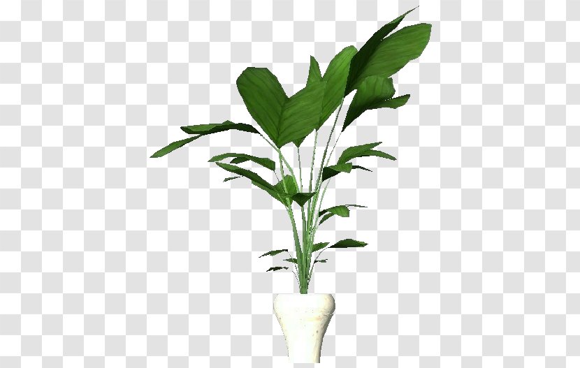 Plants Leaf Houseplant Product Project - Vegetable - Miniature Banana Tree Transparent PNG