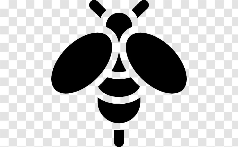 Honey Bee Insect Clip Art Transparent PNG