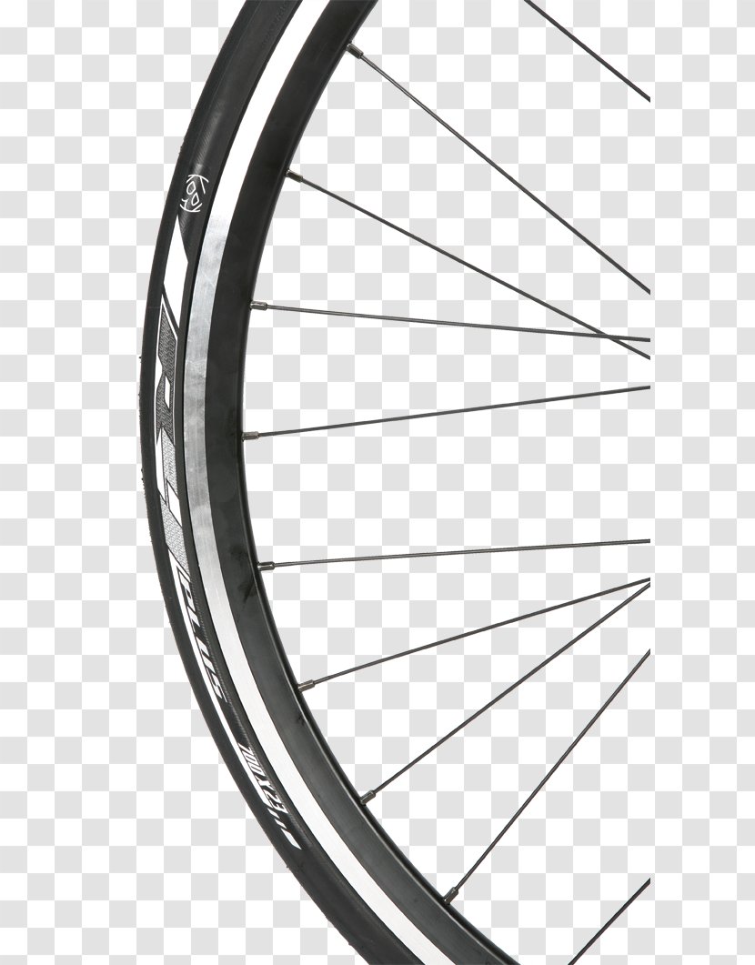 Bicycle Wheels Spoke Tires Rim - Alloy Transparent PNG
