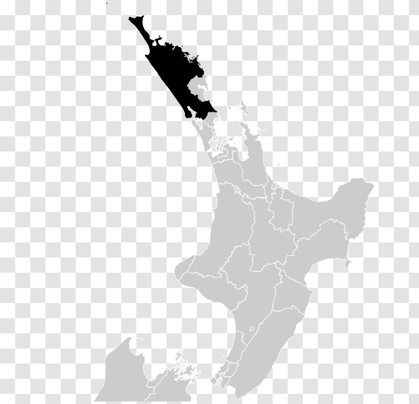 Wellington Auckland Hastings Hamilton Napier - Northland Region - Map Transparent PNG