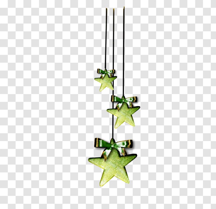 Green Pendant - Leaf - Star Transparent PNG