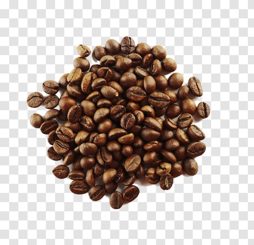 Coffee Bean Cafe Arabica Roasting Transparent PNG