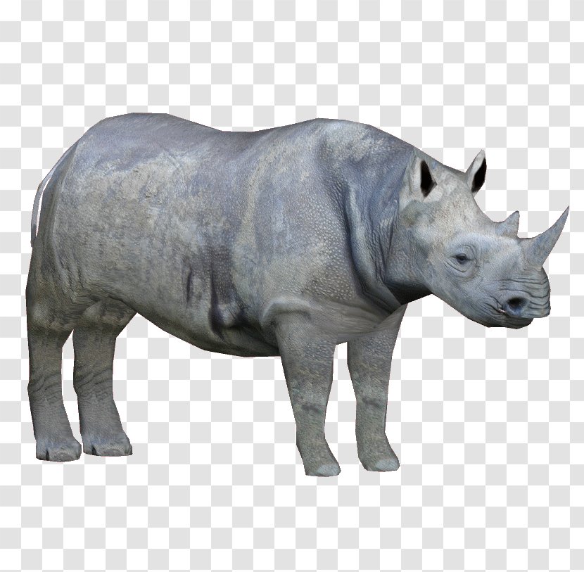 Zoo Tycoon 2 Western Black Rhinoceros Eastern Mammal - Wiki - Ungulate Transparent PNG