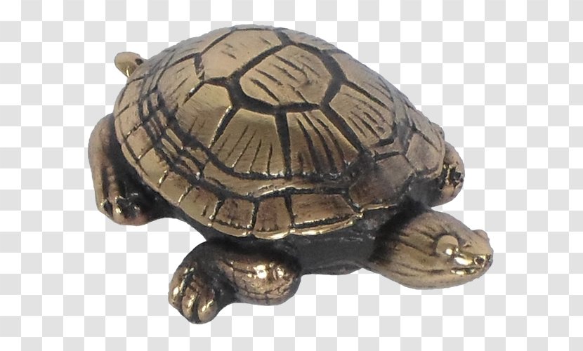Box Turtles Tortoise Snapping Metal - Mud Turtle Transparent PNG