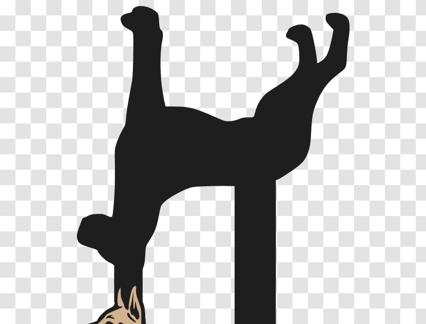 Dog Silhouette Physical Fitness Black - GREAT DANE Transparent PNG