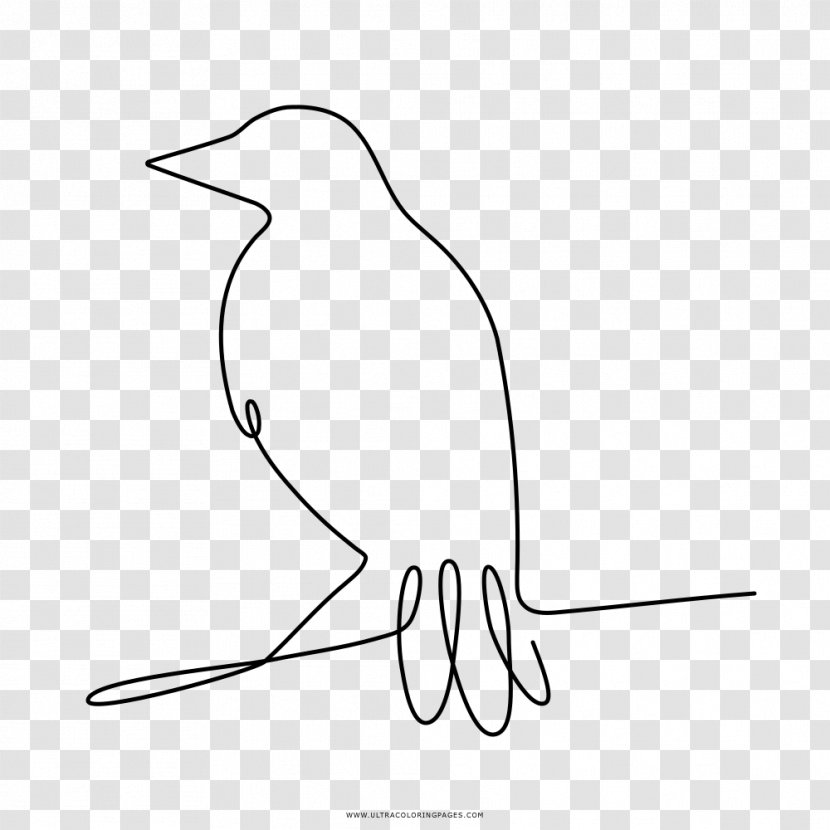 Drawing Coloring Book Common Raven Bird - Painting Transparent PNG