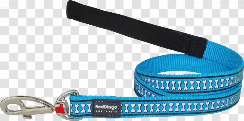 Leash Dog Collar Dingo - Pet Transparent PNG