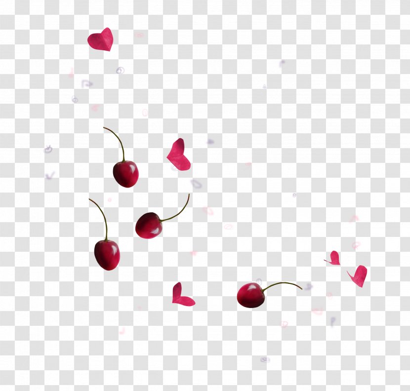 Cherry Download Clip Art - Red - Little Transparent PNG