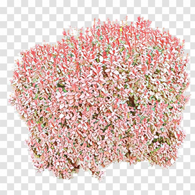 Pink Plant Flower Aquarium Decor Grass - Perennial Shrub Transparent PNG