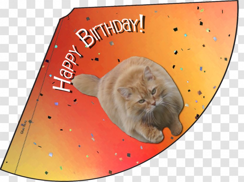 Whiskers Kitten Party Hat Birthday Transparent PNG