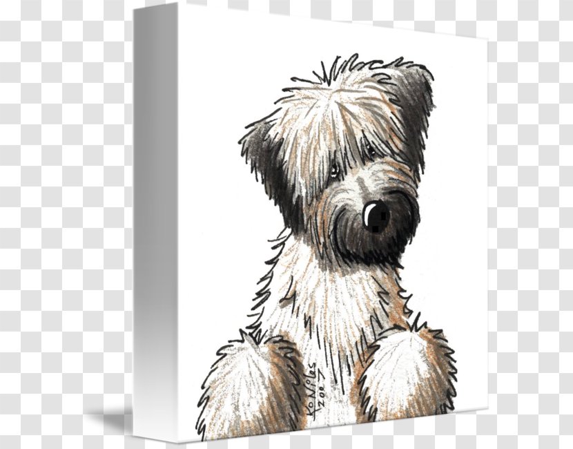 Skye Terrier Soft-coated Wheaten Glen Cairn Border - Irish Soft Coated - Puppy Transparent PNG