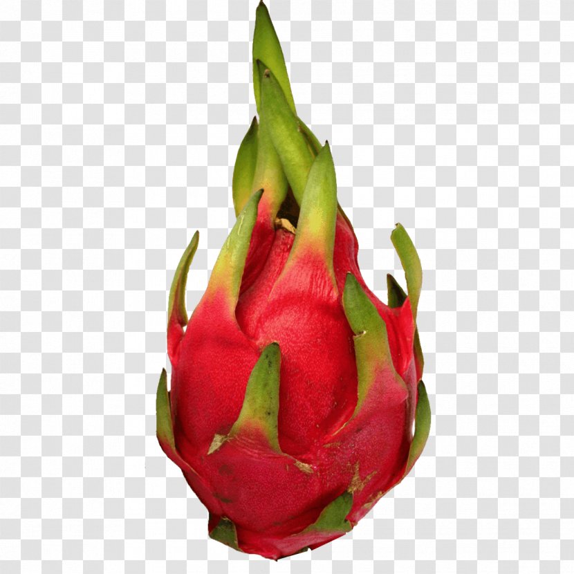 Juice Pitaya Fruit Food White-fleshed Pitahaya - Dragonfruit - Tropical Transparent PNG