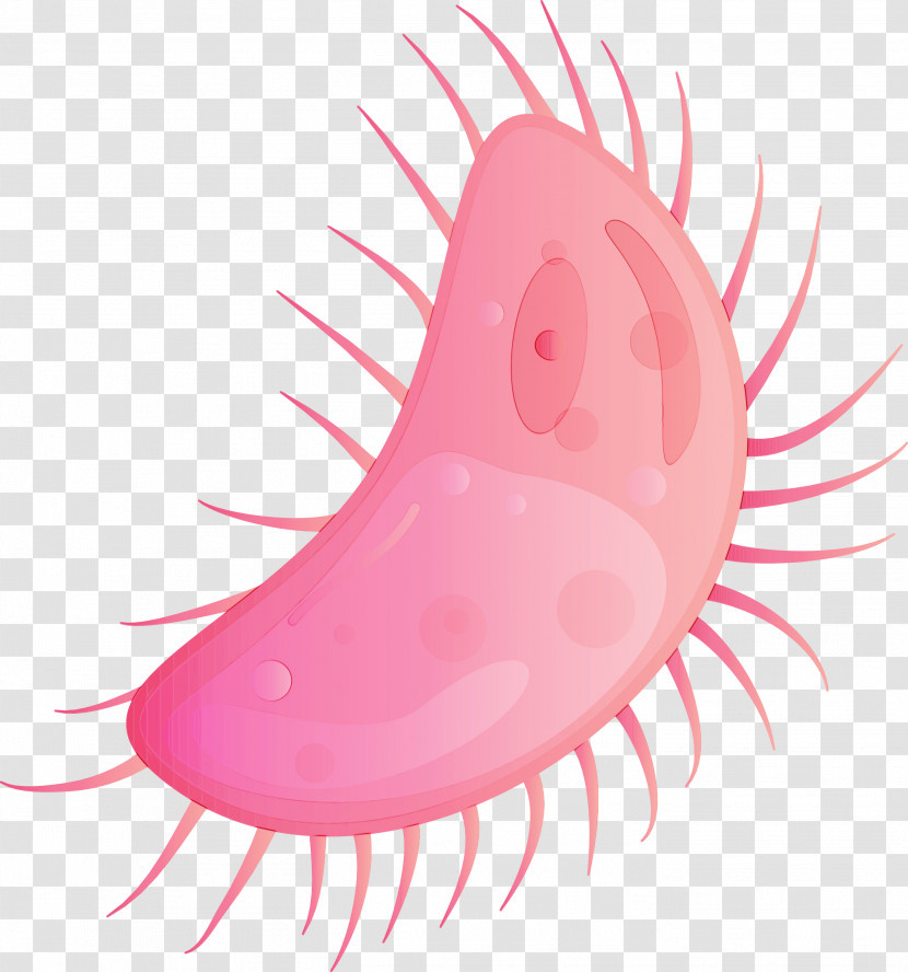 Pink Nose Mouth Lip Transparent PNG
