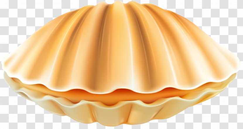 Clam Clip Art Image Seashell - Orange - Arc Transparent PNG