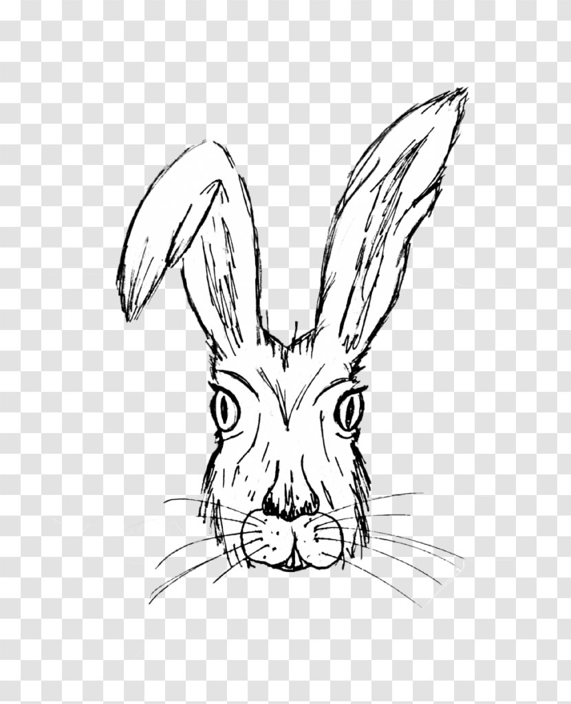 Rabbit Line Art Head Hare Rabbits And Hares - Blackandwhite Snout Transparent PNG