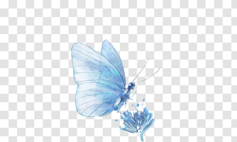 Blog Butterflies And Moths Photography PhotoFiltre - Blue - Pollinator Transparent PNG
